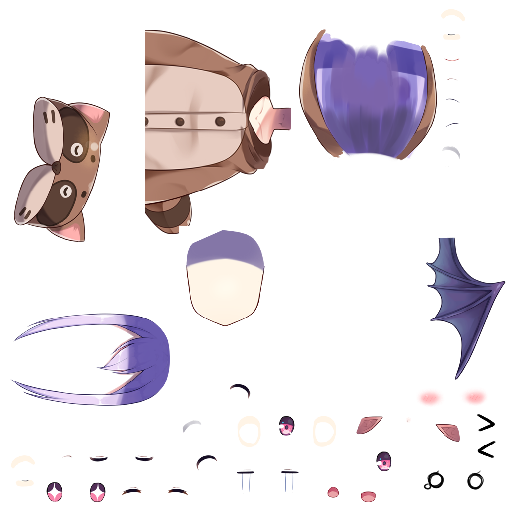 Animal Costume Racoon (Pio)